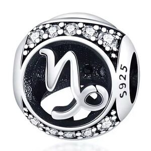 New S925 Capricorn Pandora Style Charm